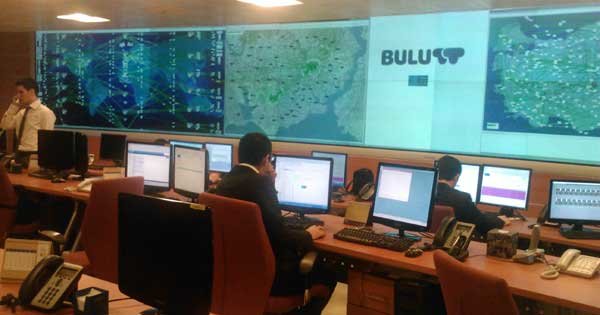 bulutt
